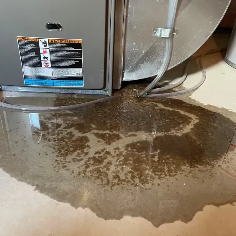 Appliance Leak Cleanup in West Freehold, NJ